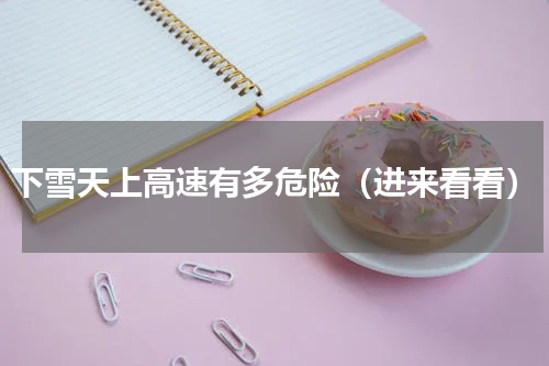 下雪天上高速有多危险（进来看看）