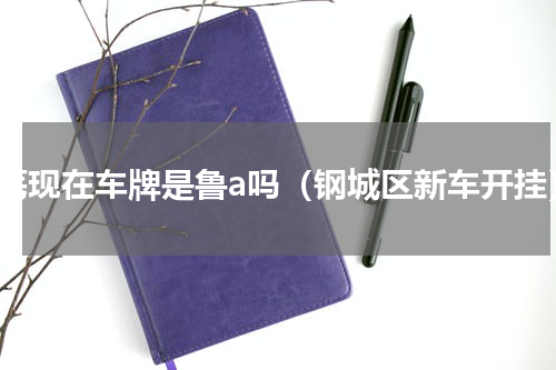 莱芜现在车牌是鲁a吗（钢城区新车开挂）