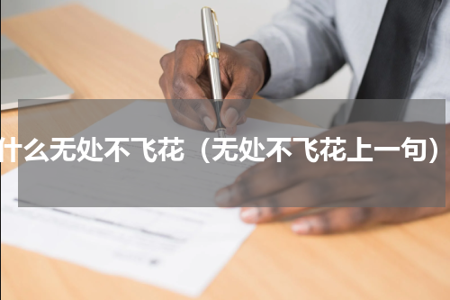 什么无处不飞花（无处不飞花上一句）