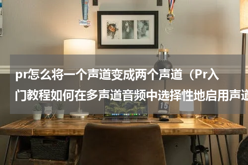pr怎么将一个声道变成两个声道（Pr入门教程如何在多声道音频中选择性地启用声道）