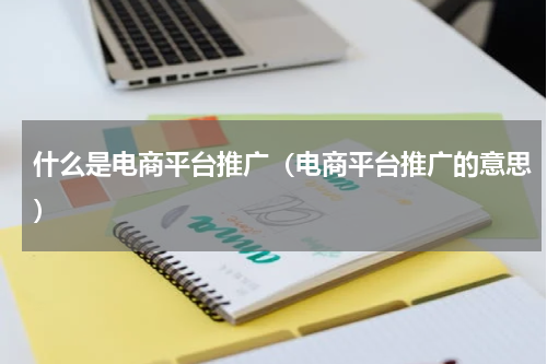 什么是电商平台推广（电商平台推广的意思）