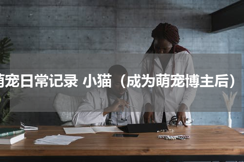 萌宠日常记录 小猫（成为萌宠博主后）