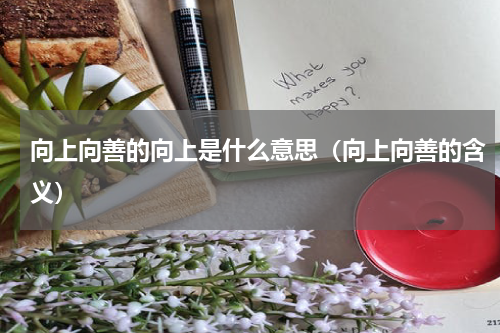 向上向善的向上是什么意思（向上向善的含义）