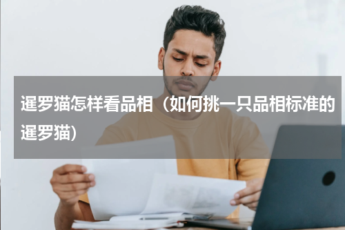 暹罗猫怎样看品相（如何挑一只品相标准的暹罗猫）