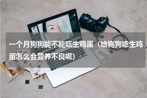一个月狗狗能不能吃生鸡蛋（给狗狗吃生鸡蛋怎么会营养不良呢）
