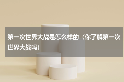 第一次世界大战是怎么样的（你了解第一次世界大战吗）