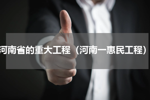 河南省的重大工程（河南一惠民工程）