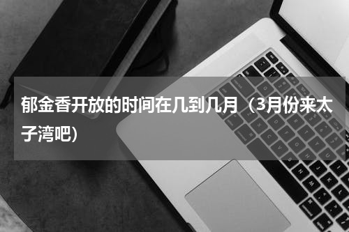 郁金香开放的时间在几到几月（3月份来太子湾吧）