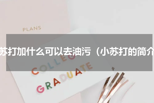 小苏打加什么可以去油污（小苏打的简介）