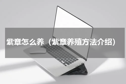 紫章怎么养（紫章养殖方法介绍）