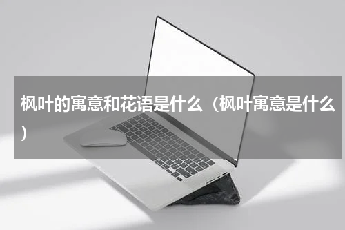 枫叶的寓意和花语是什么（枫叶寓意是什么）
