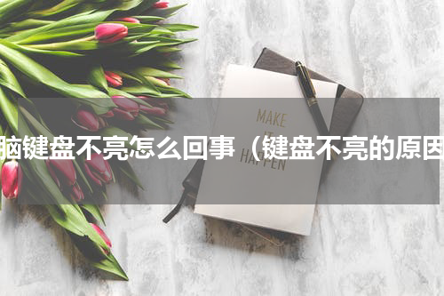 电脑键盘不亮怎么回事（键盘不亮的原因）
