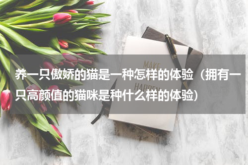 养一只傲娇的猫是一种怎样的体验（拥有一只高颜值的猫咪是种什么样的体验）