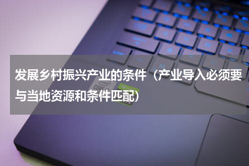 发展乡村振兴产业的条件（产业导入必须要与当地资源和条件匹配）