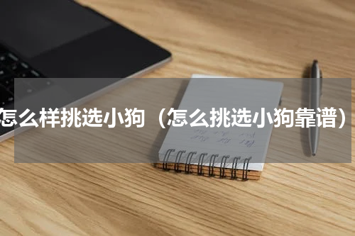 怎么样挑选小狗（怎么挑选小狗靠谱）