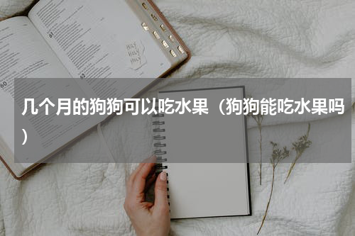 几个月的狗狗可以吃水果（狗狗能吃水果吗）