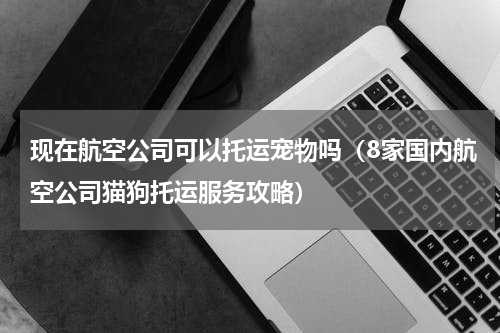 现在航空公司可以托运宠物吗（8家国内航空公司猫狗托运服务攻略）