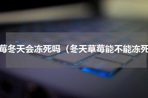 草莓冬天会冻死吗（冬天草莓能不能冻死）