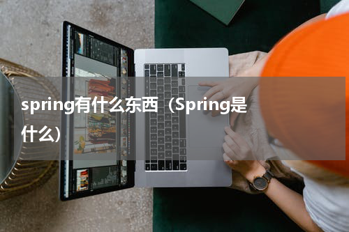 spring有什么东西（Spring是什么）