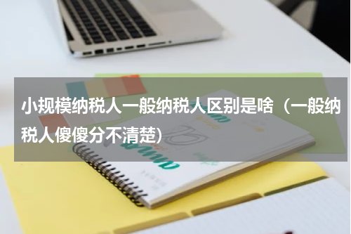 小规模纳税人一般纳税人区别是啥（一般纳税人傻傻分不清楚）