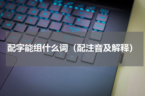 配字能组什么词（配注音及解释）