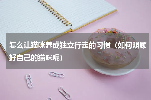 怎么让猫咪养成独立行走的习惯（如何照顾好自己的猫咪呢）