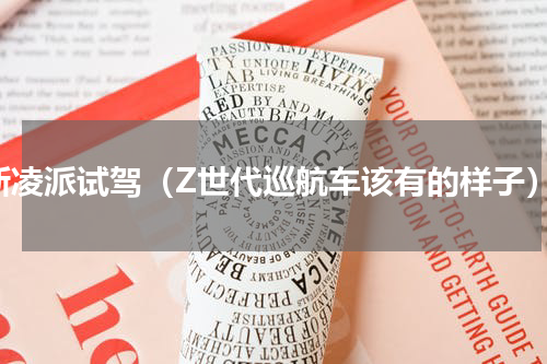 新凌派试驾（Z世代巡航车该有的样子）