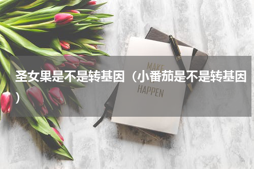 圣女果是不是转基因（小番茄是不是转基因）