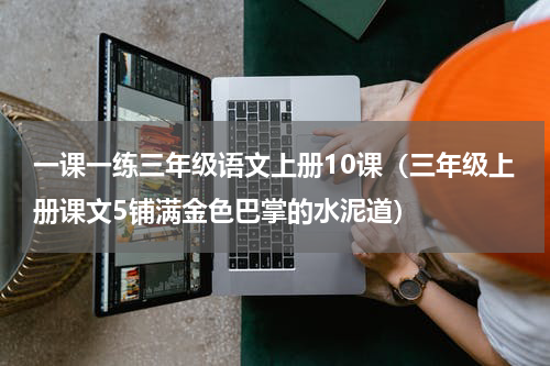 一课一练三年级语文上册10课（三年级上册课文5铺满金色巴掌的水泥道）
