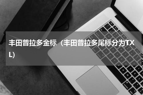 丰田普拉多金标（丰田普拉多尾标分为TXL）