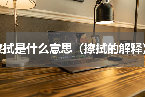 擦拭是什么意思（擦拭的解释）