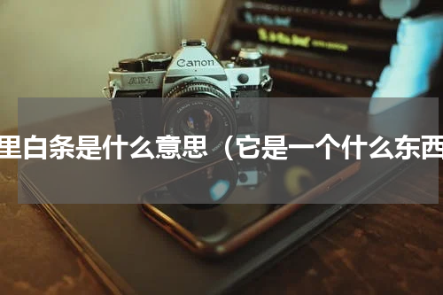 浪里白条是什么意思（它是一个什么东西）