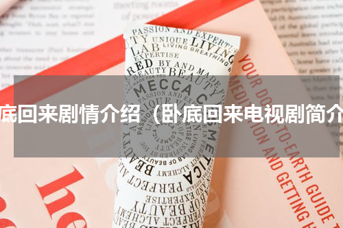 卧底回来剧情介绍（卧底回来电视剧简介）