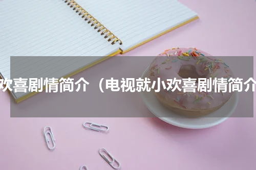 小欢喜剧情简介（电视就小欢喜剧情简介）