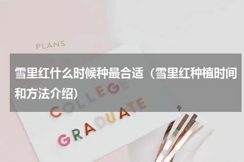 雪里红什么时候种最合适（雪里红种植时间和方法介绍）