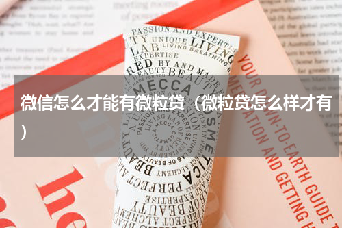 微信怎么才能有微粒贷（微粒贷怎么样才有）