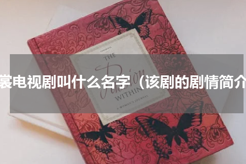 黄裳电视剧叫什么名字（该剧的剧情简介）