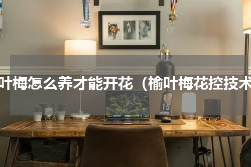 榆叶梅怎么养才能开花（榆叶梅花控技术）