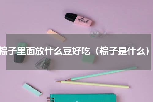 粽子里面放什么豆好吃（粽子是什么）