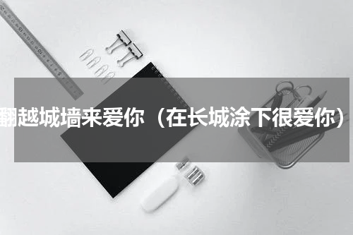 翻越城墙来爱你（在长城涂下很爱你）