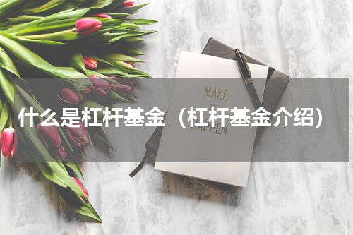 什么是杠杆基金（杠杆基金介绍）