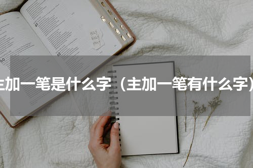 主加一笔是什么字（主加一笔有什么字）