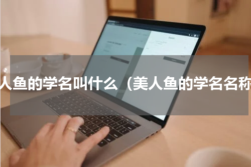美人鱼的学名叫什么（美人鱼的学名名称）