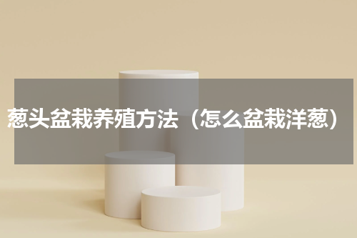 葱头盆栽养殖方法（怎么盆栽洋葱）