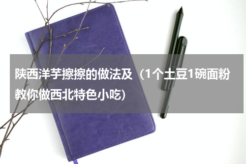 陕西洋芋擦擦的做法及（1个土豆1碗面粉教你做西北特色小吃）
