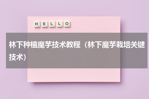 林下种植魔芋技术教程（林下魔芋栽培关键技术）