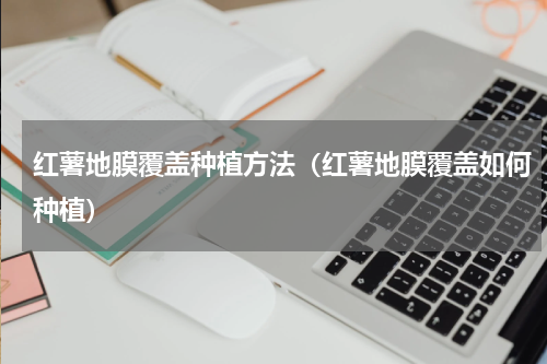 红薯地膜覆盖种植方法（红薯地膜覆盖如何种植）