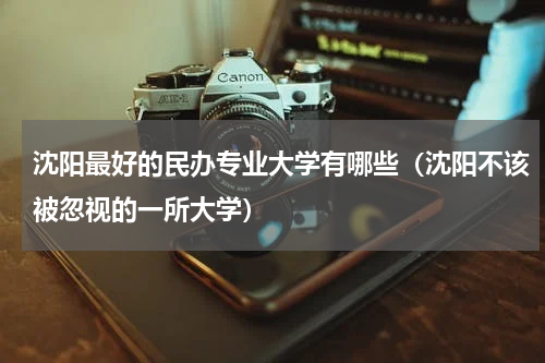 沈阳最好的民办专业大学有哪些（沈阳不该被忽视的一所大学）
