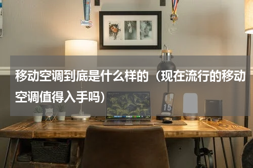 移动空调到底是什么样的（现在流行的移动空调值得入手吗）