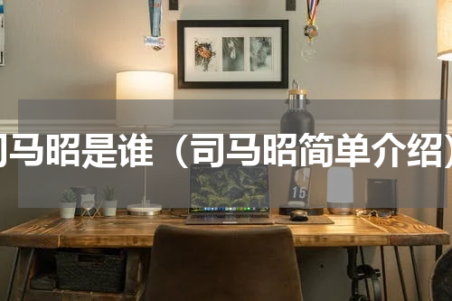 司马昭是谁（司马昭简单介绍）